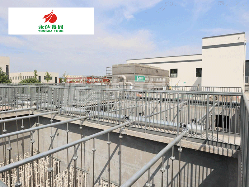 永達(dá)集團(tuán)·淇縣鴻磊項目2100m3/d調(diào)理品加工廢水處理工程